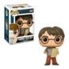 Funko Pop: HARRY POTTER - Harry Potter N° 42