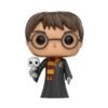 Funko Pop: HARRY POTTER - Harry Potter with Hedwig N 31 v1