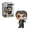 Funko Pop: HARRY POTTER - Harry Potter with Hedwig N 197 Walmart